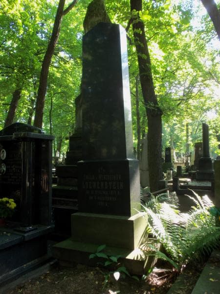 Zdjęcie grobu Emilja Loewenstein (2)