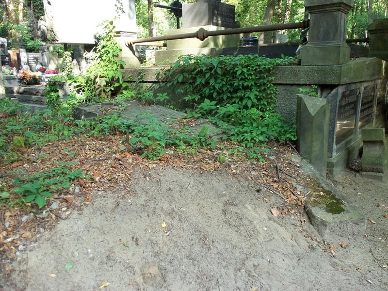 Zdjęcie grobu Adelina Lubicz-Ojrzyńska (1)