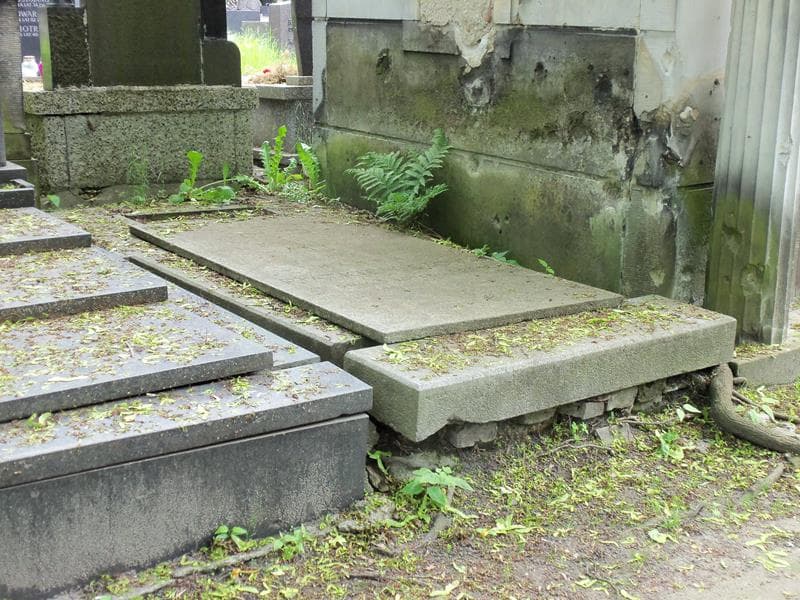 Zdjęcie grobu Hanna Piątkiewiczowa (1)