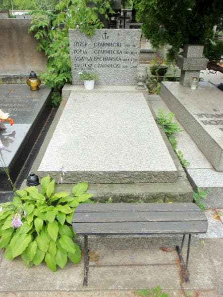 Zdjęcie grobu Józef Czarniecki (1)