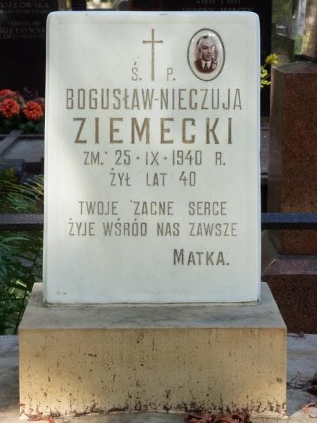 Zdjęcie grobu Bogusław Nieczuja Ziemecki (2)