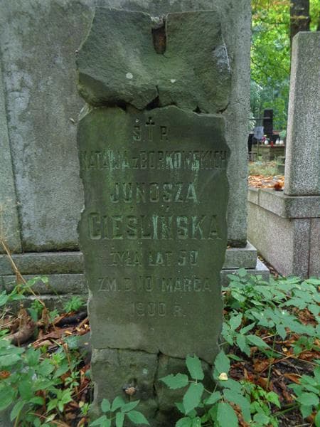 Zdjęcie grobu Natalja Junosza Cieślińska (2)