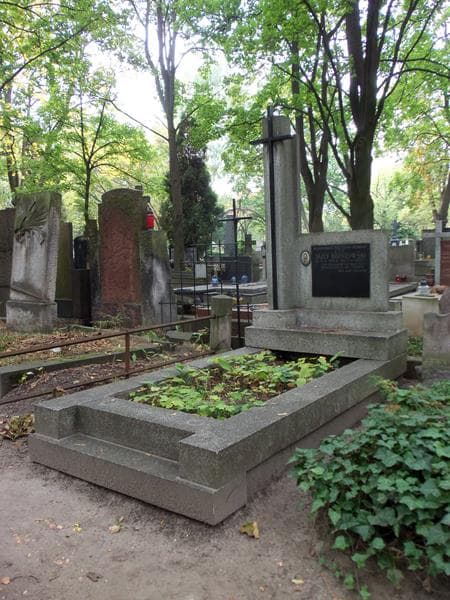 Zdjęcie grobu Józef Brzozowski (1)