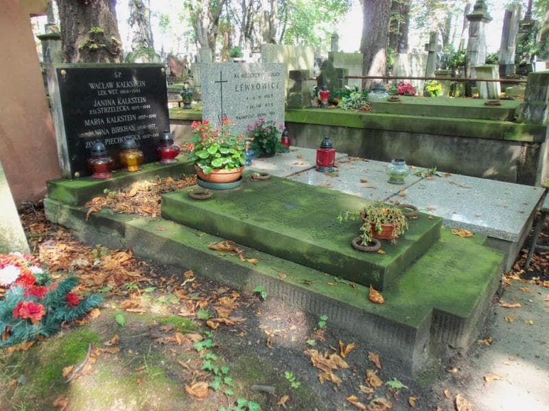 Zdjęcie grobu Zofia Piechowska (1)