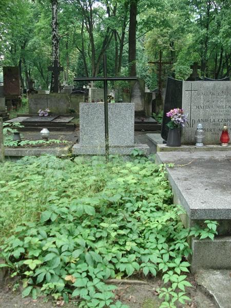 Zdjęcie grobu: Anonim