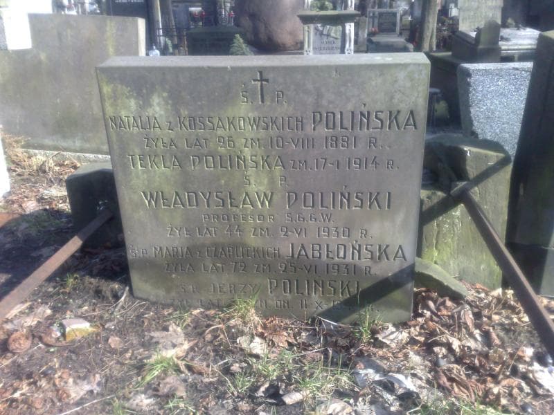 Zdjęcie grobu Władysław Poliński (1)