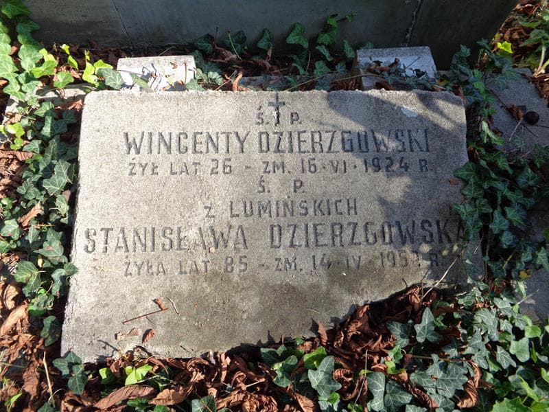Zdjęcie grobu Stanisława Dzierzgowska (2)