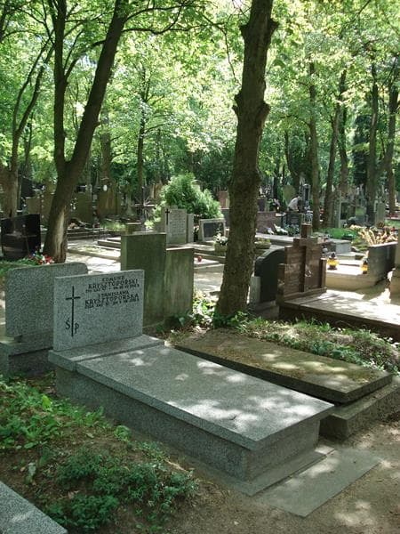 Zdjęcie grobu Edmund Krzysztoporski (1)