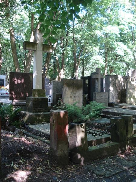 Zdjęcie grobu Flora Teleżyńska (1)