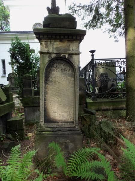 Zdjęcie grobu Antonina Sergejew (2)