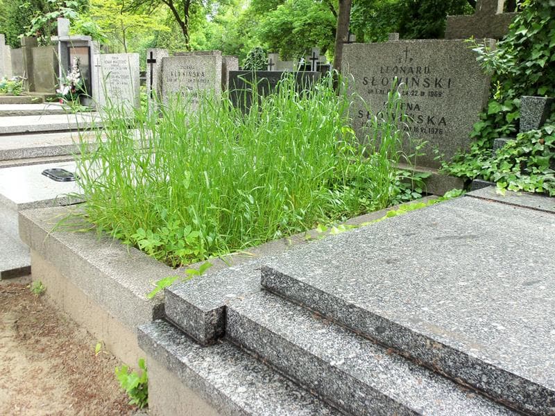 Zdjęcie grobu Leonard Słowiński (1)