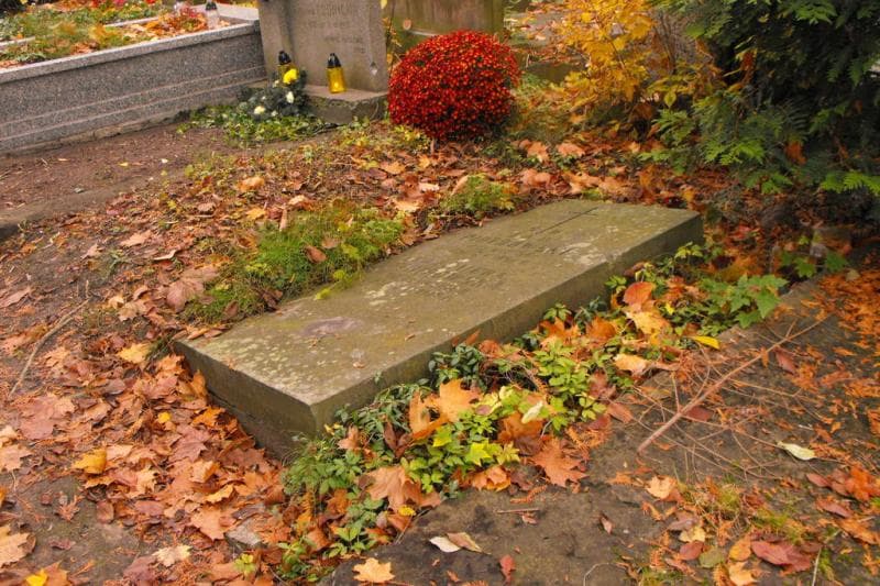 Zdjęcie grobu Jan Piotrowski (1)