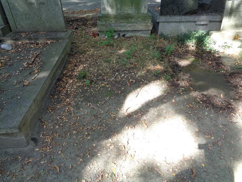 Zdjęcie grobu: Pole Grobowe