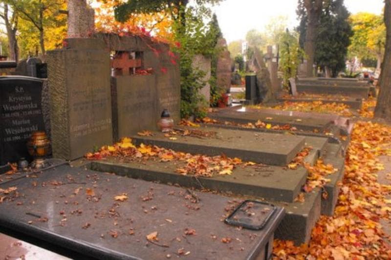 Zdjęcie grobu Sabina Oknińska (1)