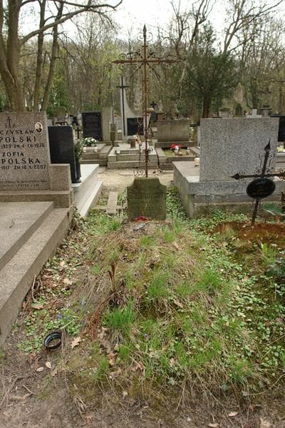 Zdjęcie grobu: Władysław Gołębiowski