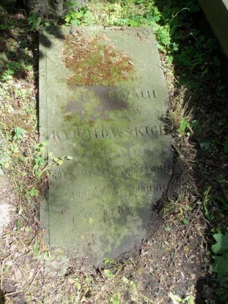 Zdjęcie grobu Jan Rydołowski (2)