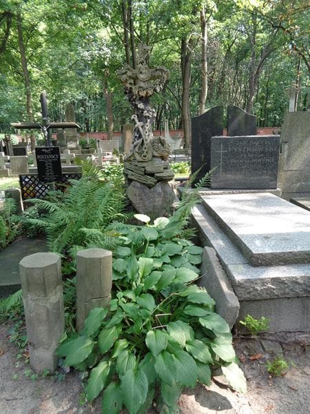Zdjęcie grobu Karol Kulesza (1)