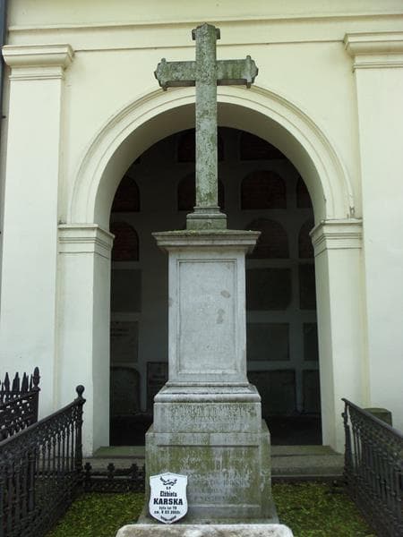 Zdjęcie grobu Jan Mielżyński (2)