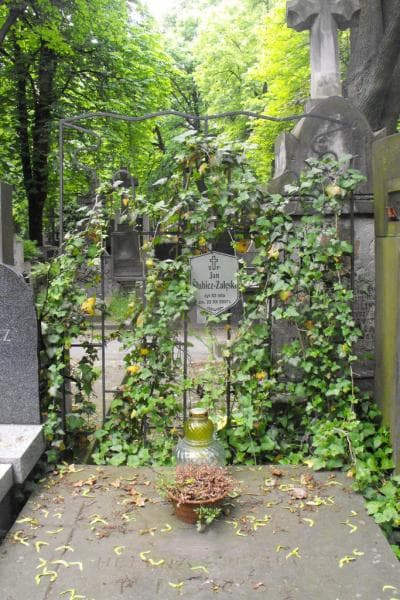 Zdjęcie grobu Zofia Siecina-Krasicka (2)
