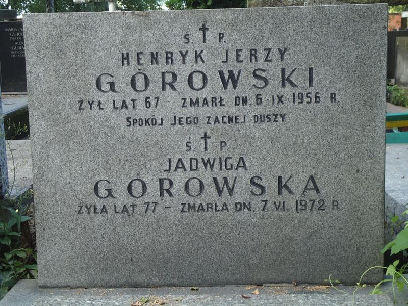 Zdjęcie grobu Henryk Jerzy Górowski (2)