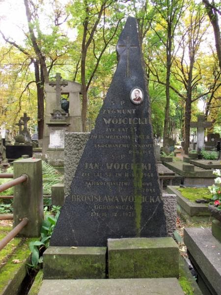 Zdjęcie grobu Zygmunt Wójcicki (2)