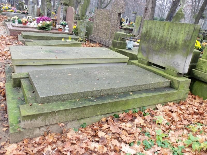 Zdjęcie grobu Wacław Biernacki (1)