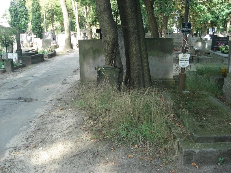Zdjęcie grobu: August Bardecki