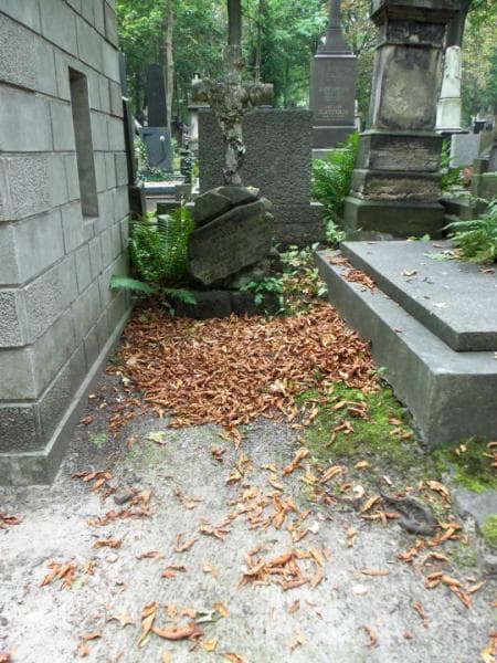 Zdjęcie grobu: Oleś Wokulski
