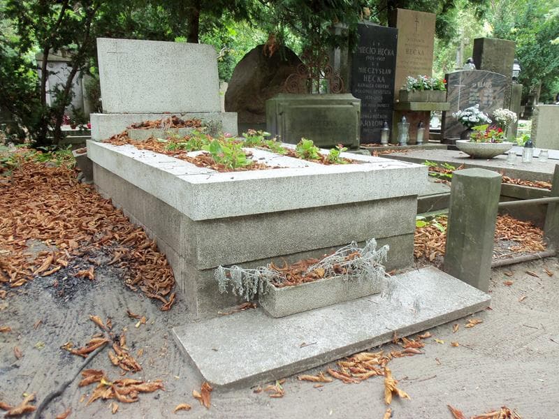 Zdjęcie grobu Henryk Bocheński (1)