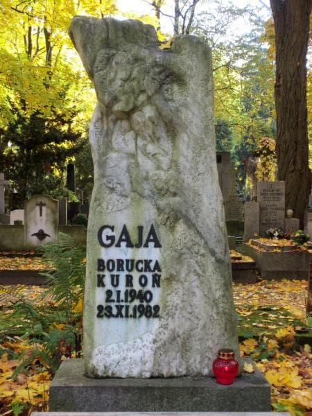 Zdjęcie grobu Maciej Kuroń (2)
