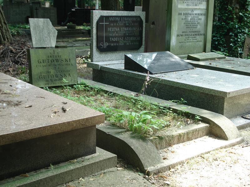 Zdjęcie grobu Augusta Cieńska (1)