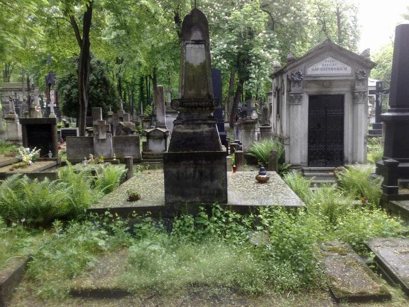 Zdjęcie grobu Jerzy Walkiewicz (1)