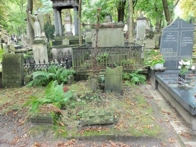 Zdjęcie grobu: Antonina Grabowska