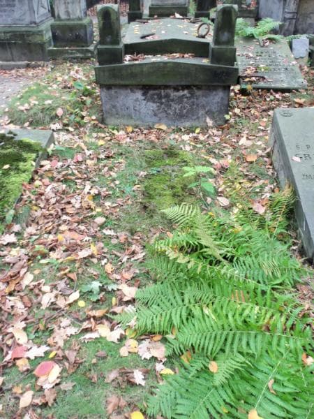 Zdjęcie grobu: Jan Bartnowski