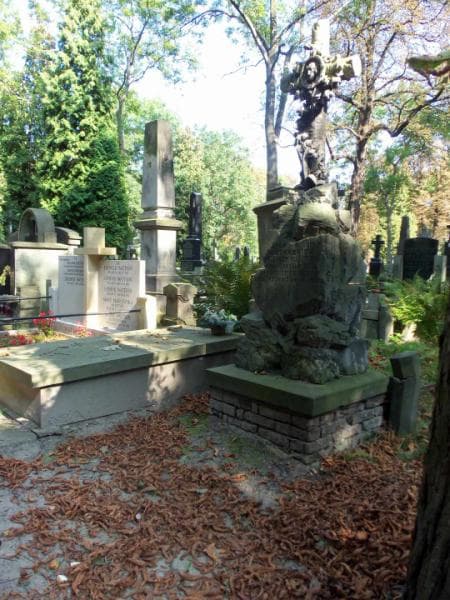 Zdjęcie grobu Franciszek Jan Kuczyński (1)