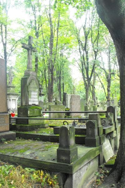 Zdjęcie grobu Julja Hildebrandt (1)
