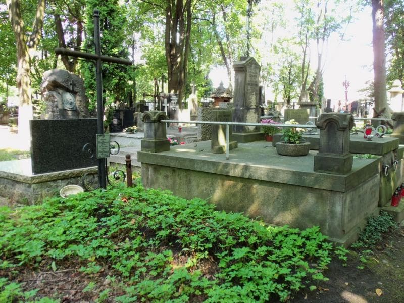 Zdjęcie grobu: Alfons Hoffman