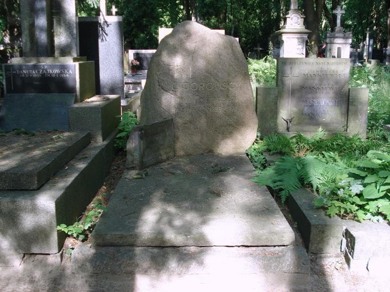 Zdjęcie grobu Edward Ciborowski (1)
