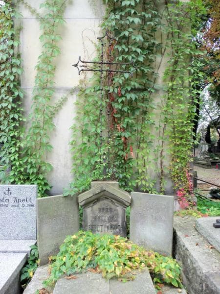 Zdjęcie grobu Henryk Leszczyński (2)