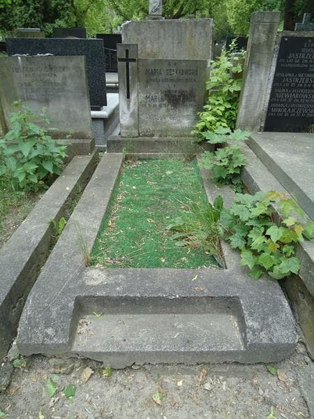 Zdjęcie grobu: Władysław Szańkowski