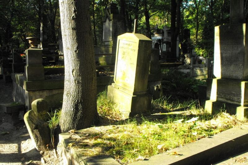 Zdjęcie grobu Ludwika Jahn (1)