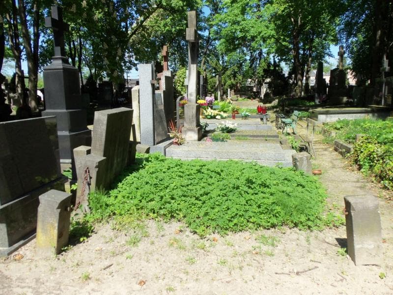 Zdjęcie grobu Jadwiga Janowska (1)