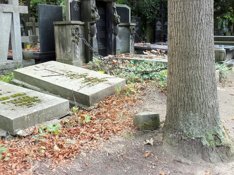 Zdjęcie grobu Barbara Trembińska (1)