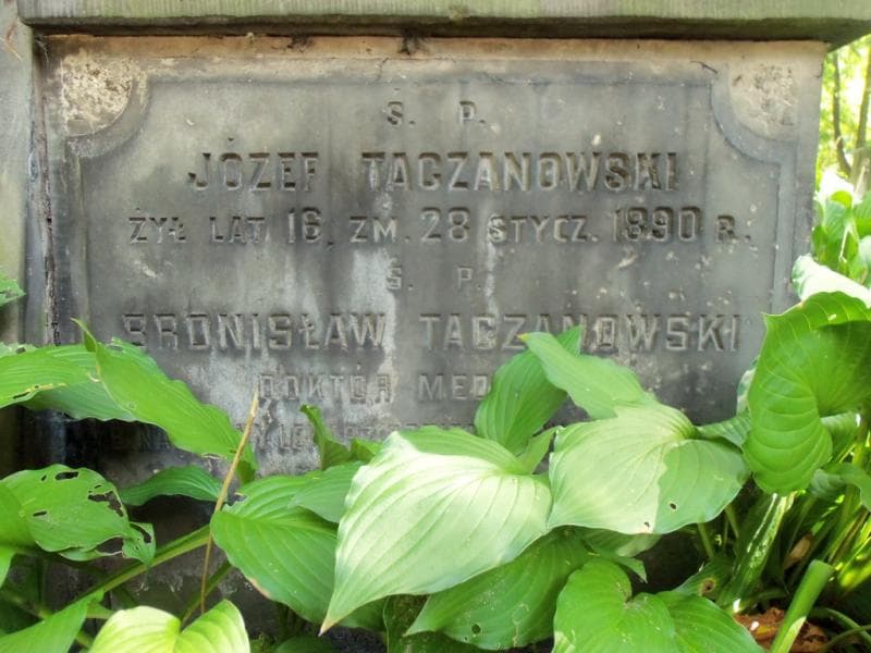Zdjęcie grobu Bronisław Taczanowski (2)