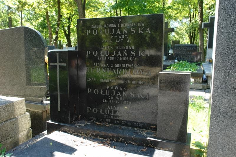 Zdjęcie grobu Stefania Bernhardtowa (2)