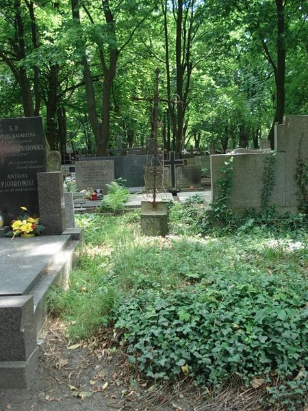 Zdjęcie grobu: Józefa Gołda