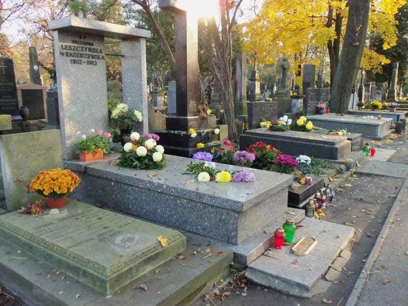Zdjęcie grobu Julianna Leszczyńska (1)