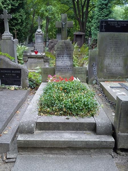 Zdjęcie grobu Edward Siemiński (1)