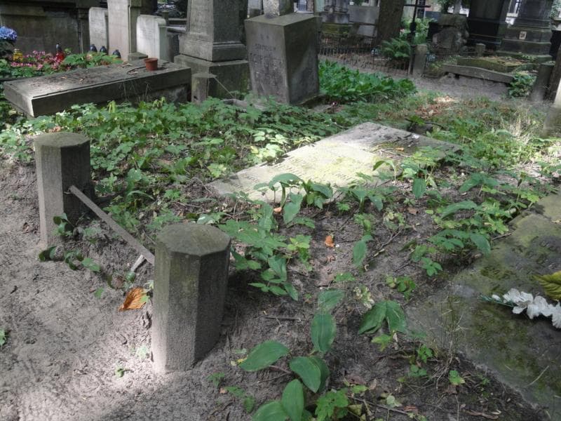 Zdjęcie grobu Eleonora Freudenstern (1)