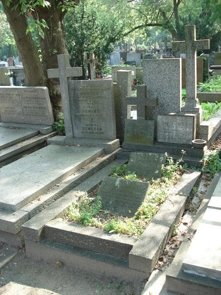 Zdjęcie grobu Wanda Dynowska Umadevi (1)